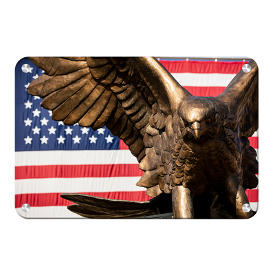 Louisiana Monroe Warhawks - Warhawk Stars and Stripes - College Wall Art #Metal Art