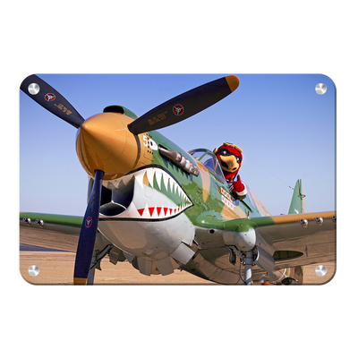 Louisiana Monroe Warhawks - Curtiss P 40 - College Wall Art #Metal Art