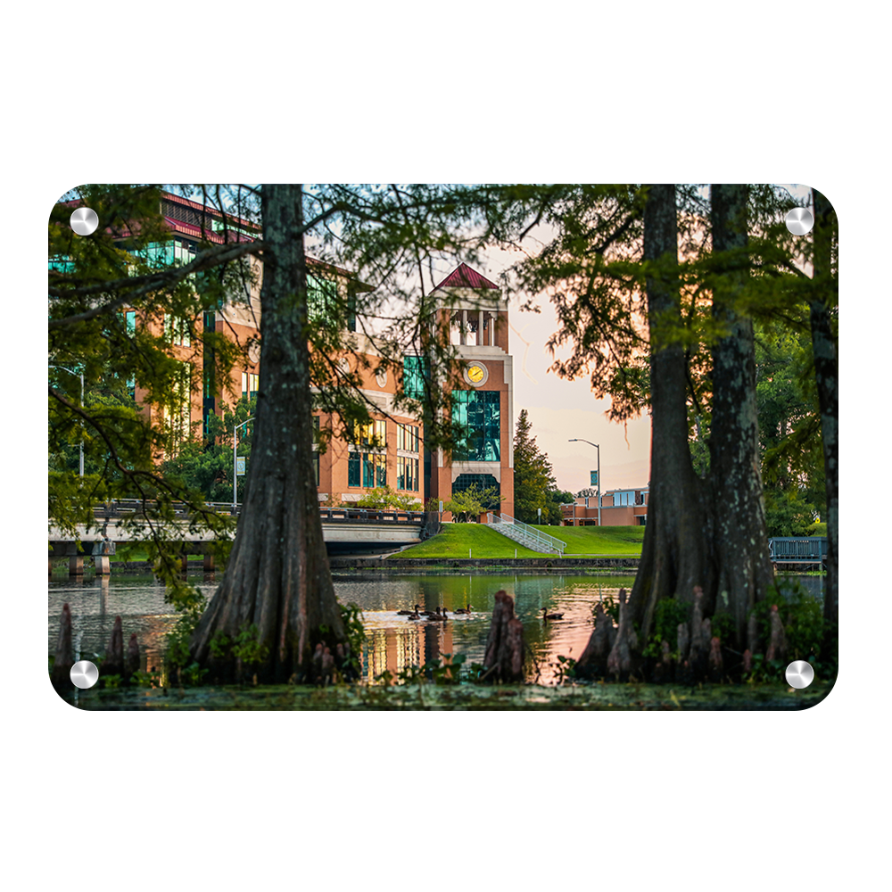 Louisiana Monroe Warhawks - Through the Bayou - College Wall Art #Canvas