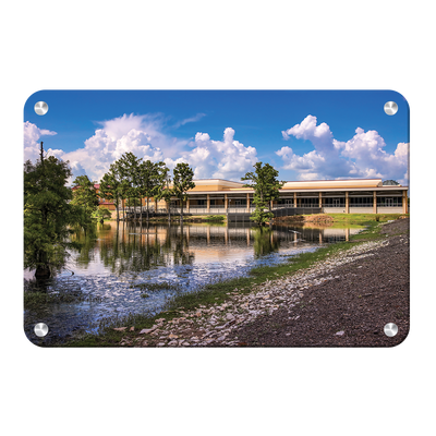 Louisiana Monroe Warhawks - Bayou Pointe - College Wall Art #Metal Art