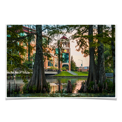 Louisiana Monroe Warhawks - Through the Bayou - College Wall Art #Photo Posters