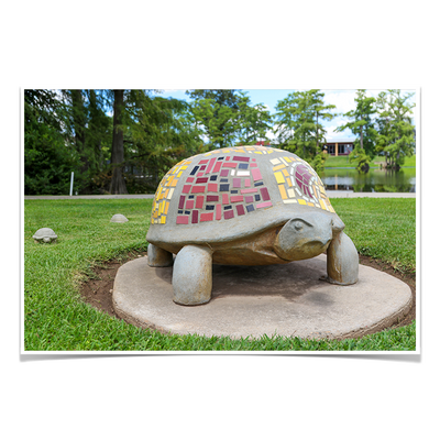 Louisiana Monroe Warhawks - Bayou Park - College Wall Art #Photo Posters