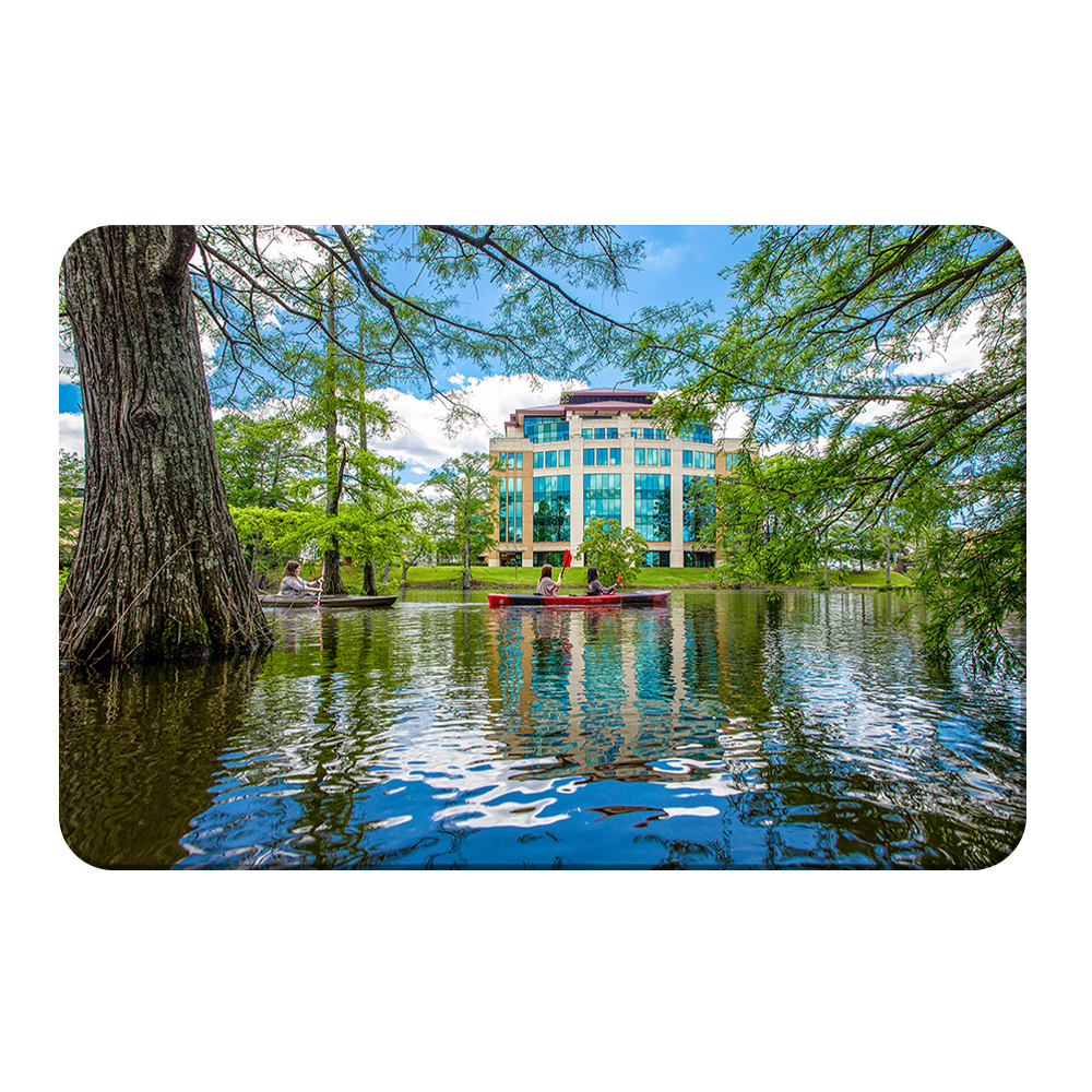 Louisiana Monroe Warhawks - The Bayou - College Wall Art #Canvas