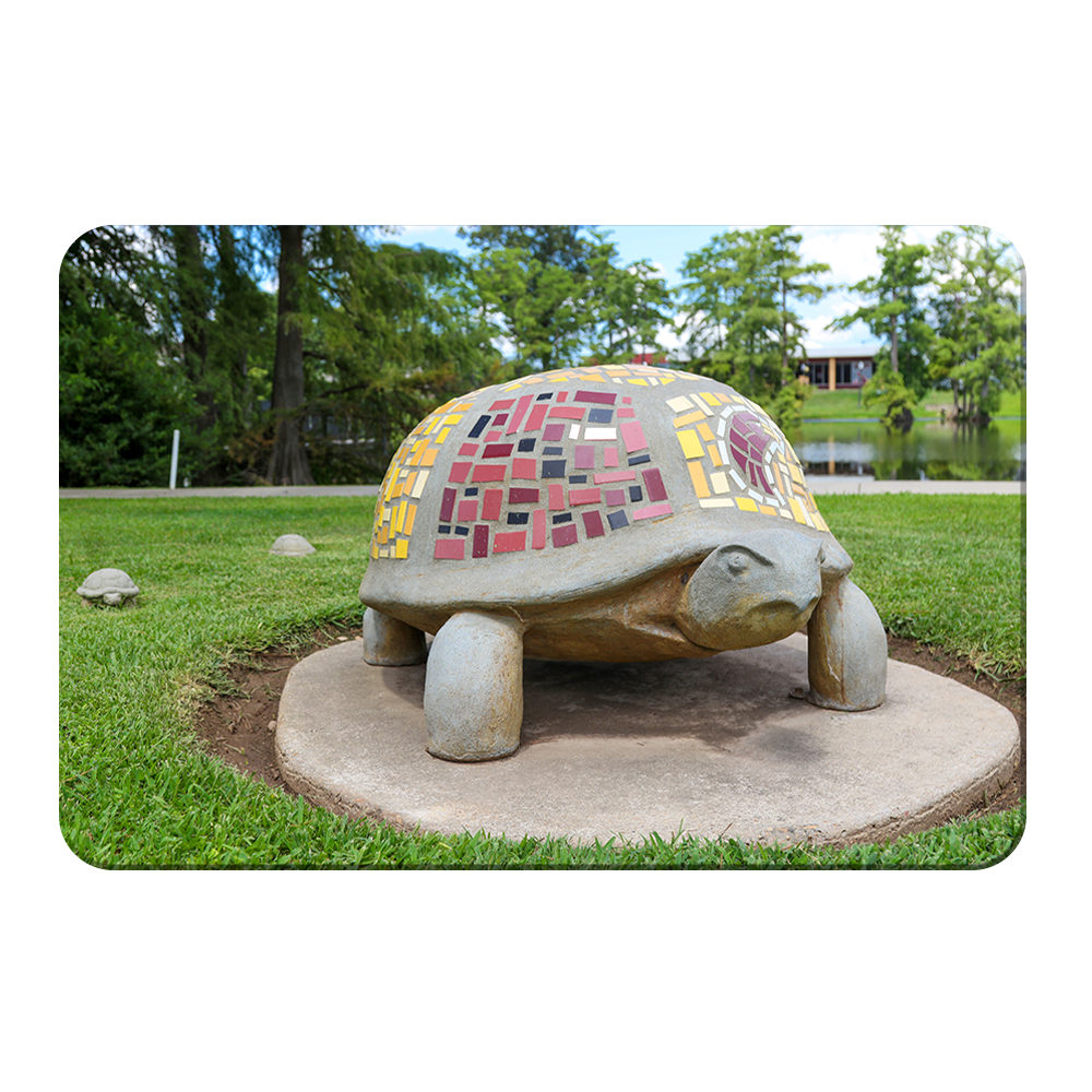 Louisiana Monroe Warhawks - Bayou Park - College Wall Art #Canvas