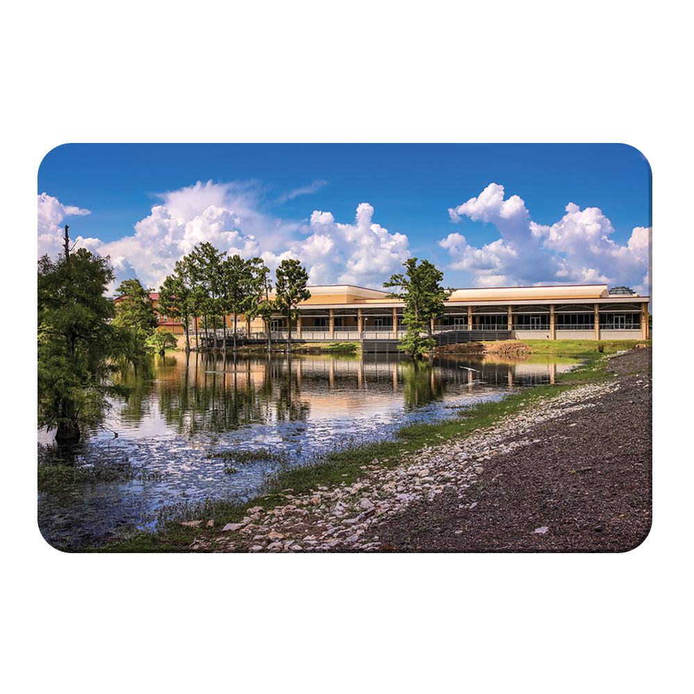 Louisiana Monroe Warhawks - Bayou Pointe - College Wall Art #Canvas