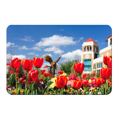 Louisiana Monroe Warhawks - ULM Tulips - College Wall Art #PVC