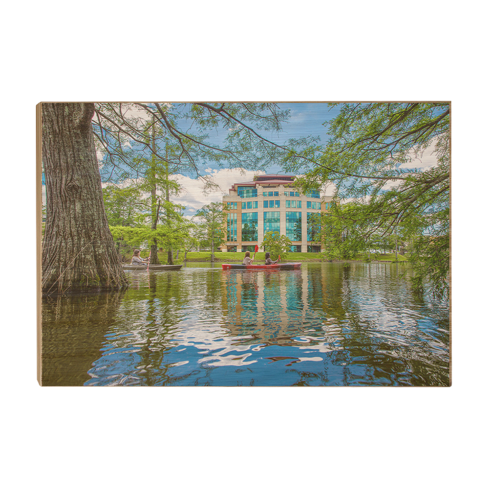 Louisiana Monroe Warhawks - The Bayou - College Wall Art #Canvas