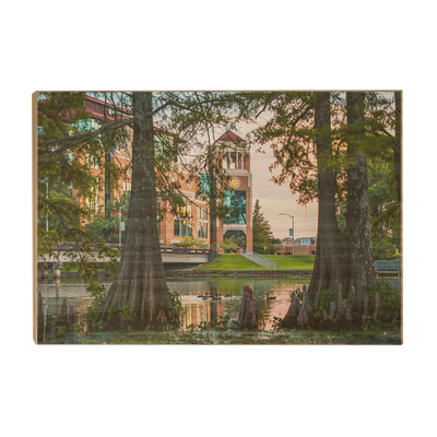 Louisiana Monroe Warhawks - Through the Bayou - College Wall Art #Wood Art