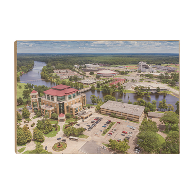 Louisiana Monroe Warhawks - Campus Aerial - College Wall Art #Wood Art