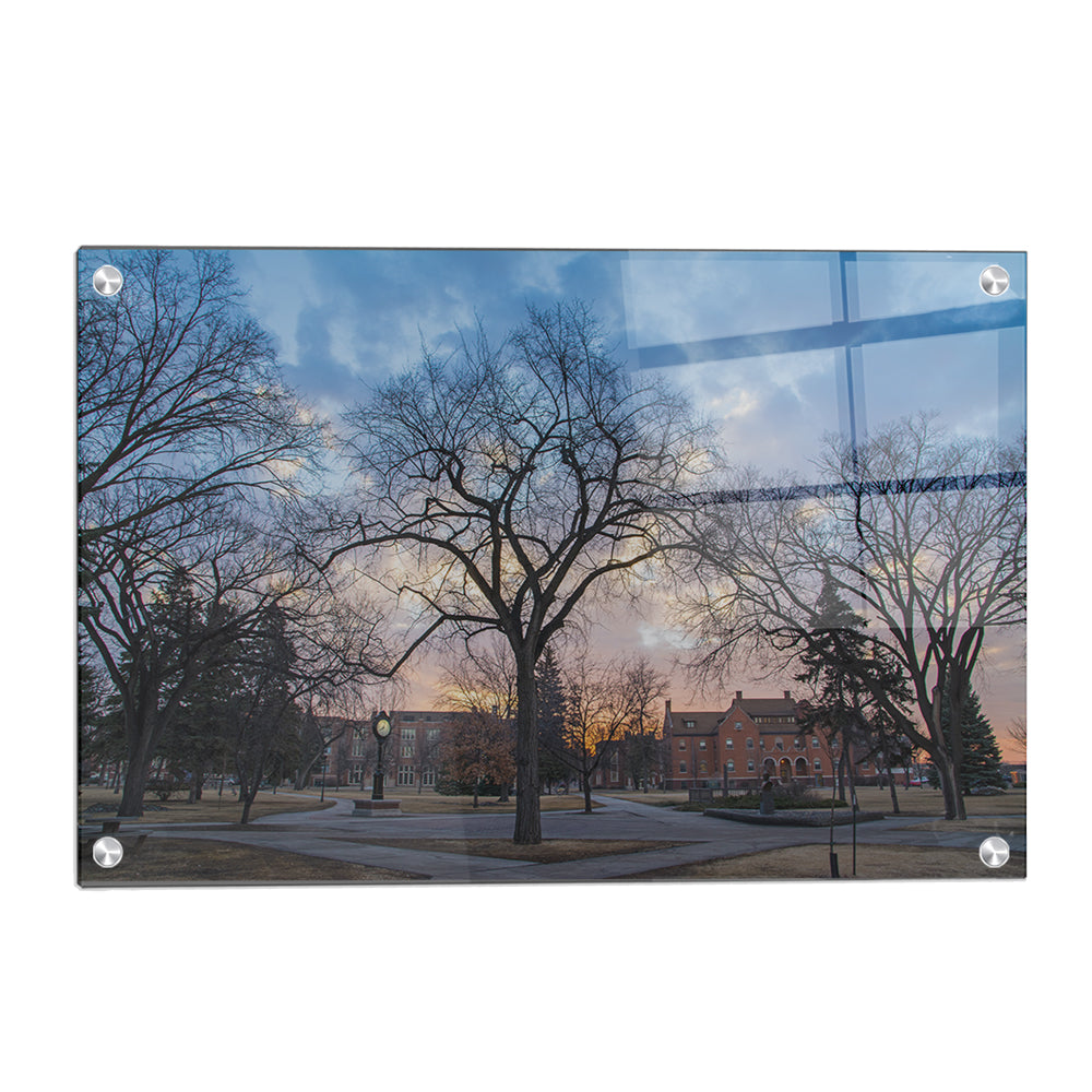 North Dakota Fighting Hawks - Early Spring Campus - College Wall Art #Canvas