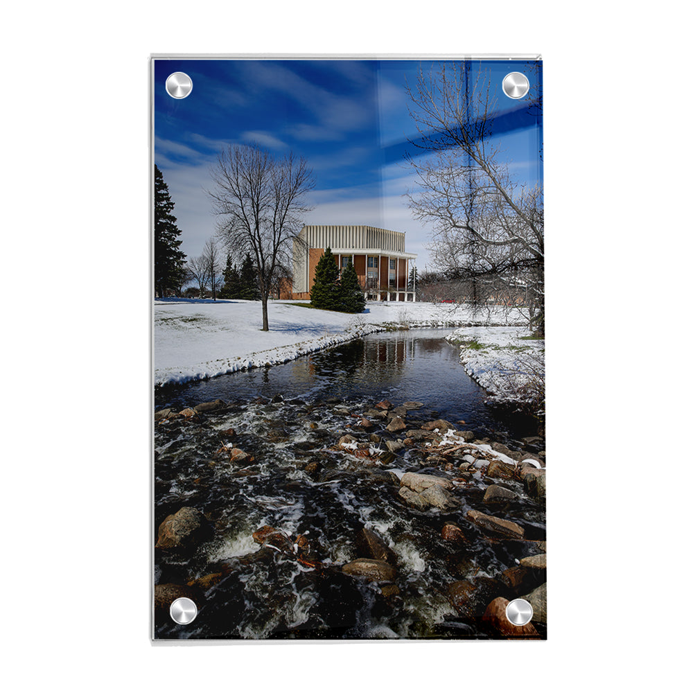North Dakota Fighting Hawks - Snow Storm - College Wall Art #Canvas