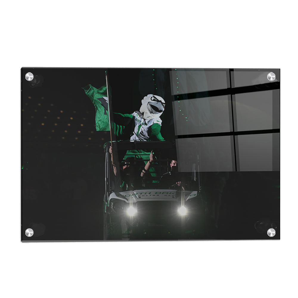 North Dakota Fighting Hawks - The Fighting Hawk - College Wall Art #Canvas