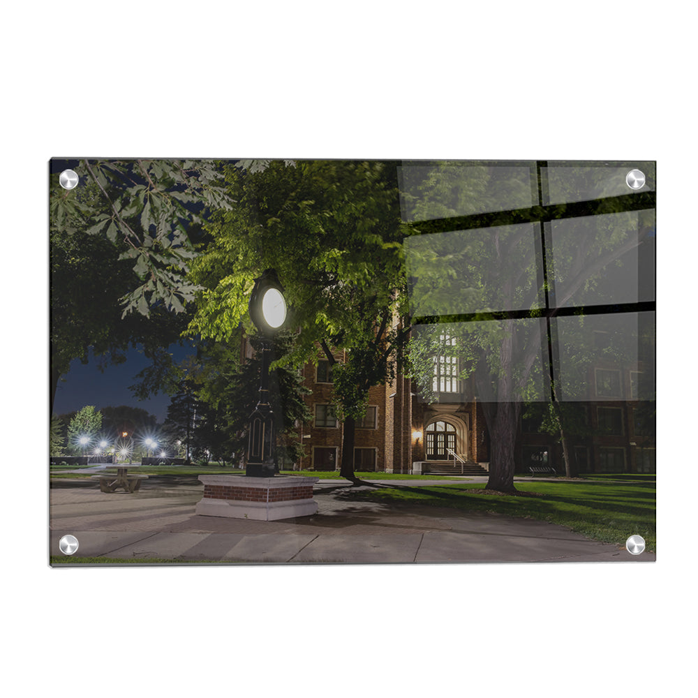 North Dakota Fighting Hawks - Night Fall - College Wall Art #Canvas