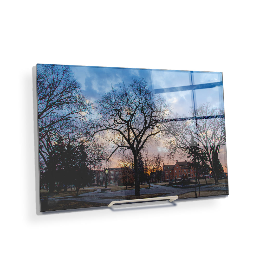 North Dakota Fighting Hawks - Early Spring Campus - College Wall Art #Canvas