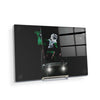 North Dakota Fighting Hawks - The Fighting Hawk - College Wall Art #Acrylic Mini