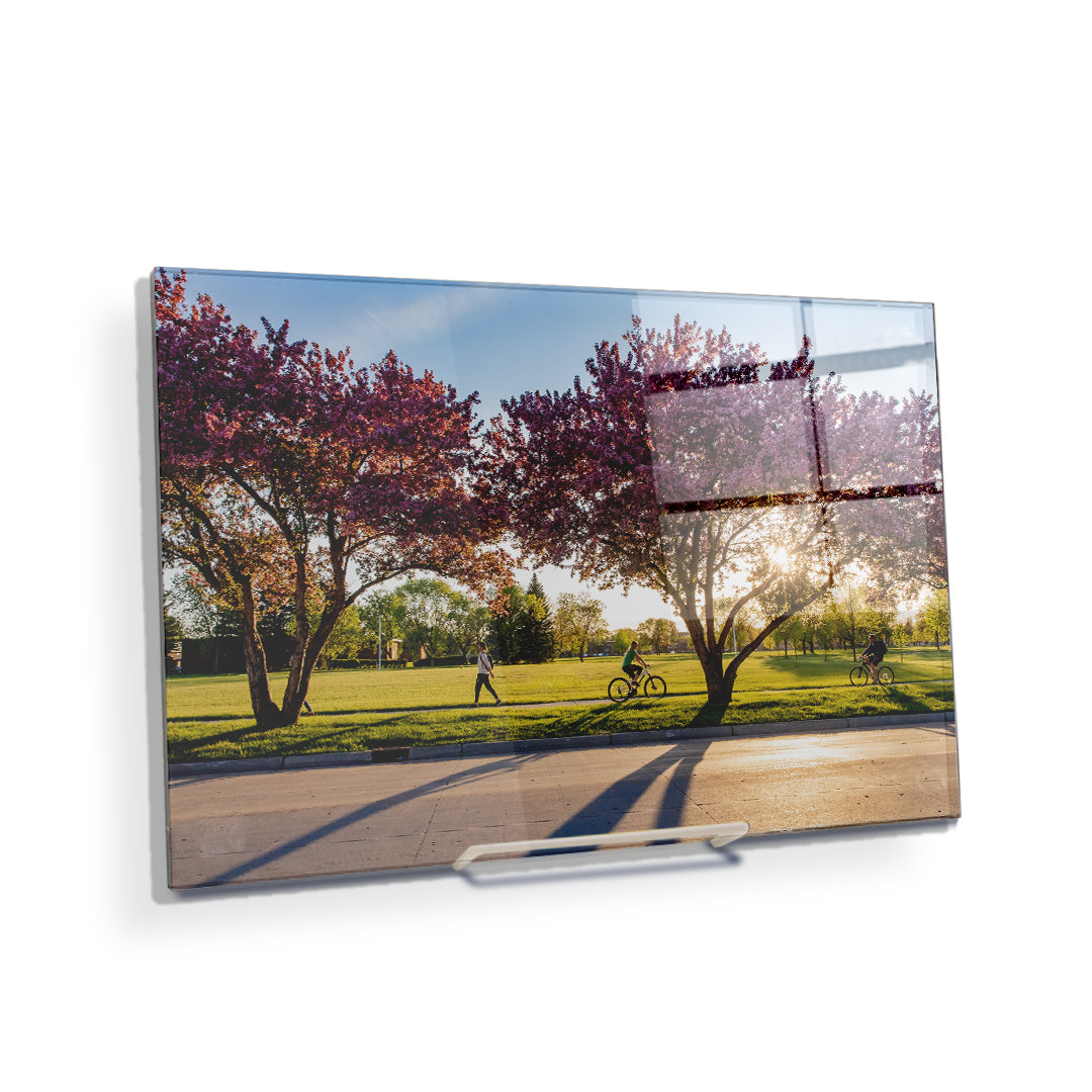 North Dakota Fighting Hawks - Blossoms - College Wall Art #Canvas