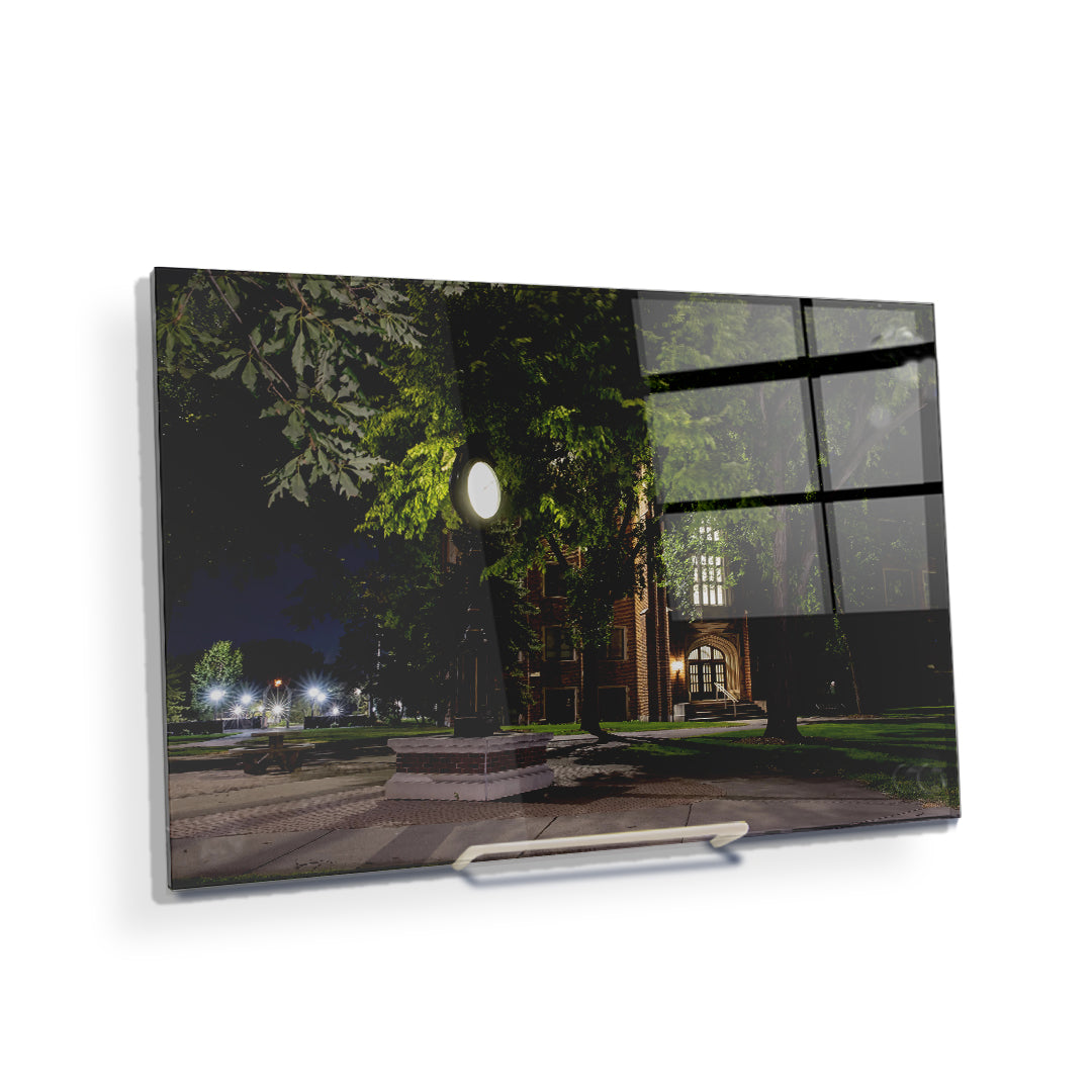 North Dakota Fighting Hawks - Night Fall - College Wall Art #Canvas