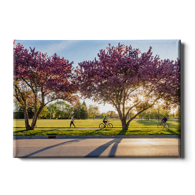 North Dakota Fighting Hawks - Blossoms - College Wall Art #Canvas