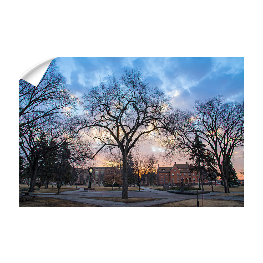 North Dakota Fighting Hawks - Early Spring Campus - College Wall Art #Canvas