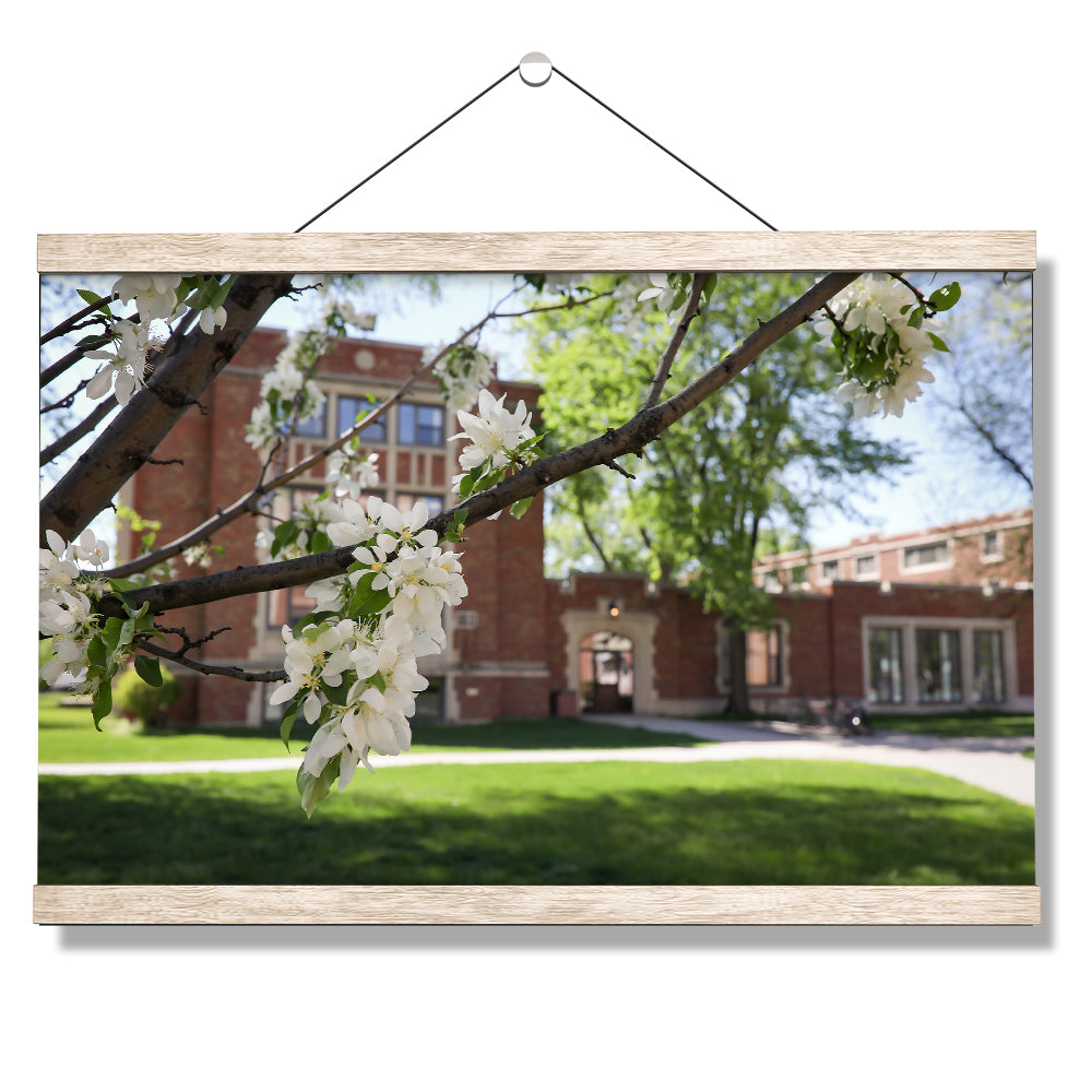 North Dakota Fighting Hawks - Cherry Blossoms - College Wall Art #Canvas