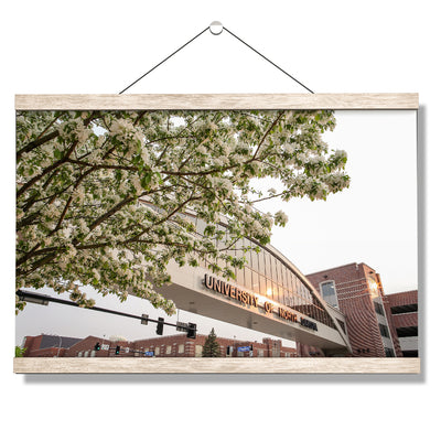 North Dakota Fighting Hawks - University of North Dakota Cherry Blossoms - College Wall Art #Hanging Canvas