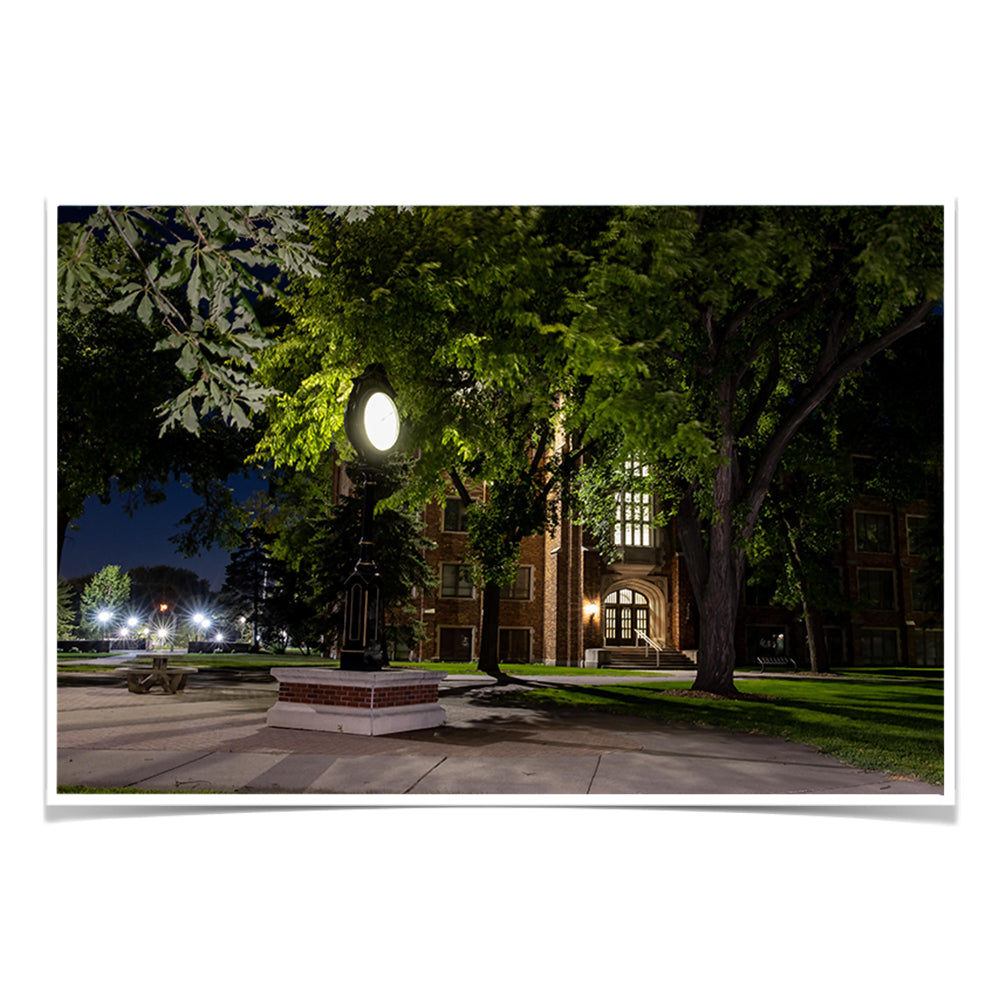 North Dakota Fighting Hawks - Night Fall - College Wall Art #Canvas