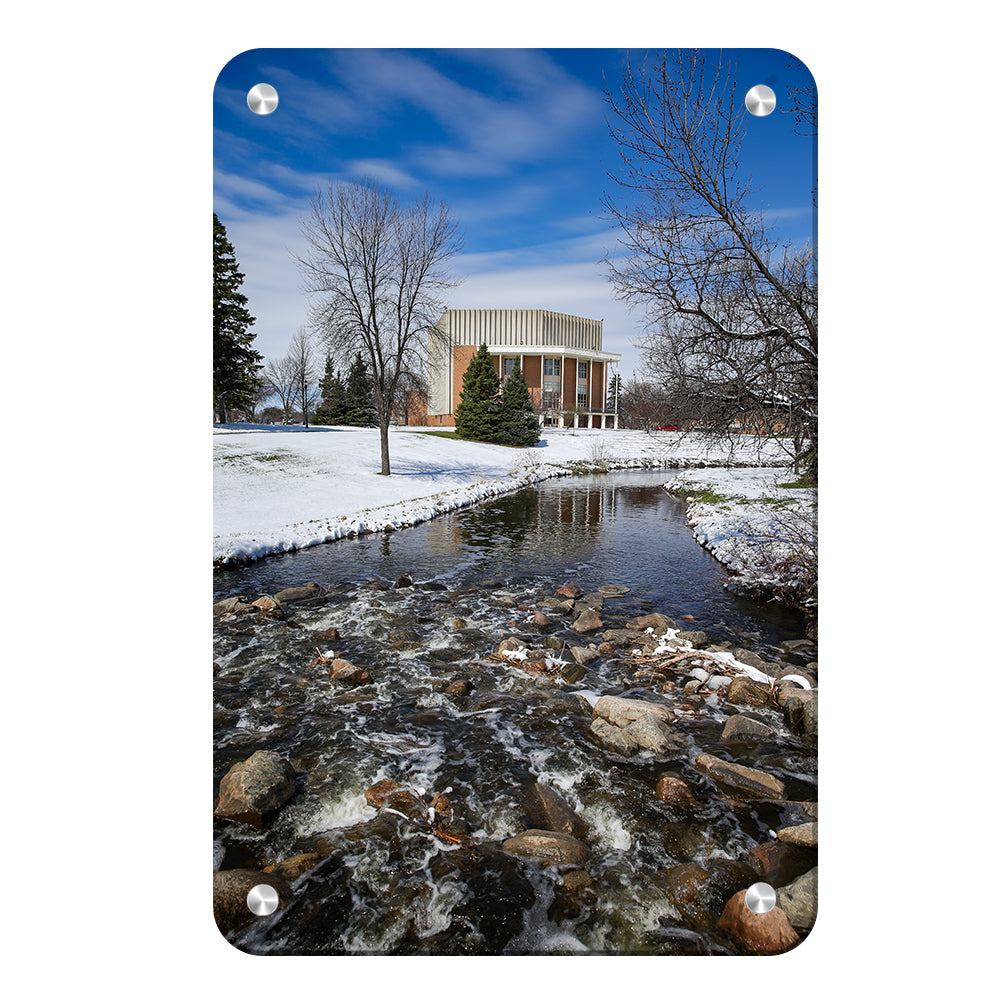 North Dakota Fighting Hawks - Snow Storm - College Wall Art #Canvas