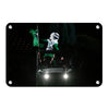 North Dakota Fighting Hawks - The Fighting Hawk - College Wall Art #Metal