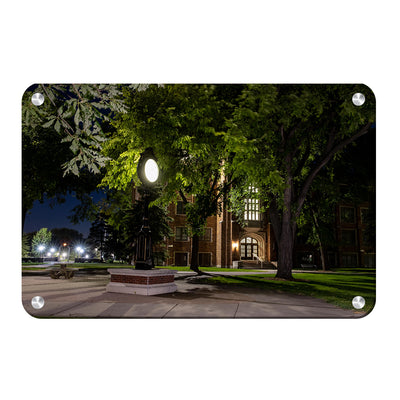 North Dakota Fighting Hawks - Night Fall - College Wall Art #Metal