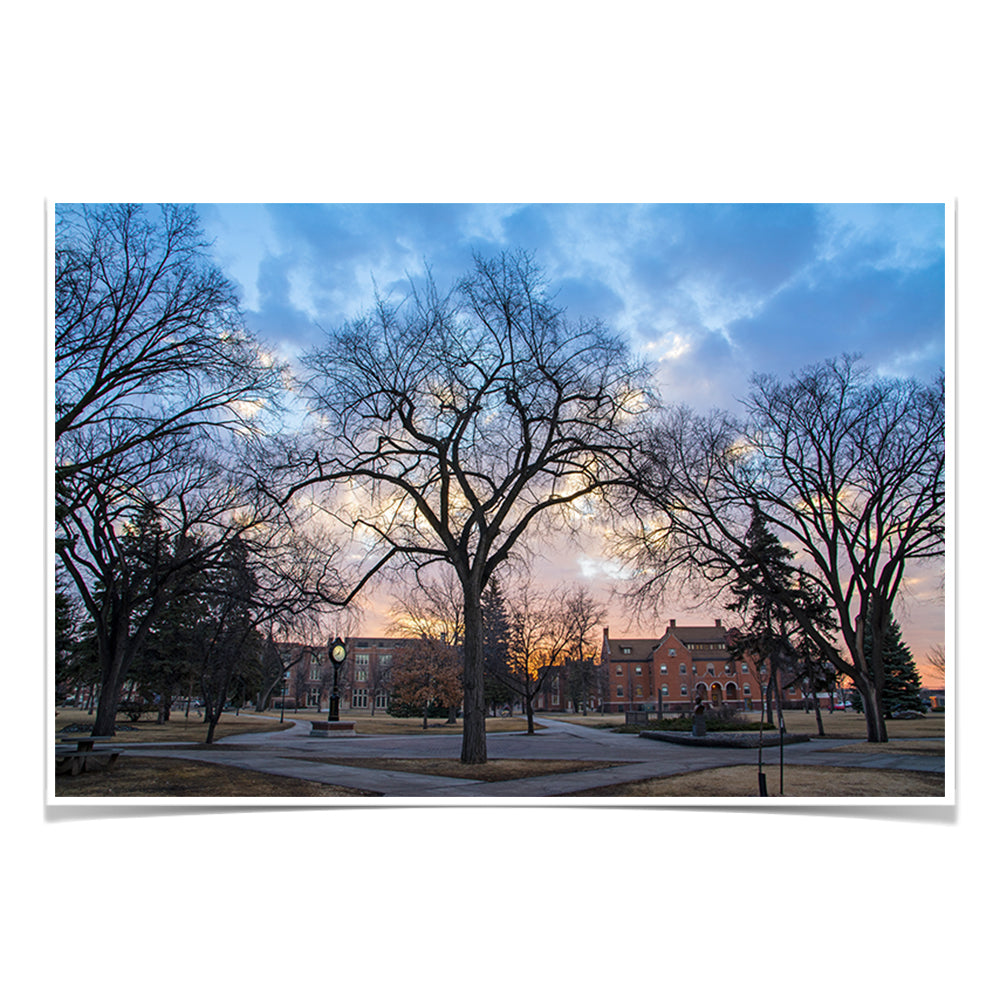 North Dakota Fighting Hawks - Early Spring Campus - College Wall Art #Canvas