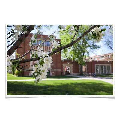 North Dakota Fighting Hawks - Cherry Blossoms - College Wall Art #Poster