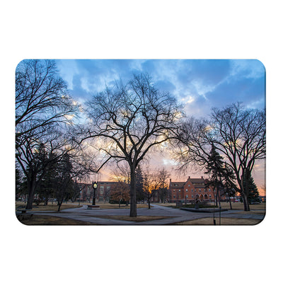 North Dakota Fighting Hawks - Early Spring Campus - College Wall Art #PVC