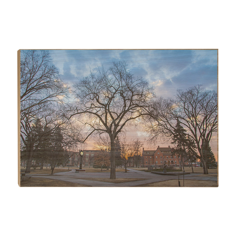 North Dakota Fighting Hawks - Early Spring Campus - College Wall Art #Canvas