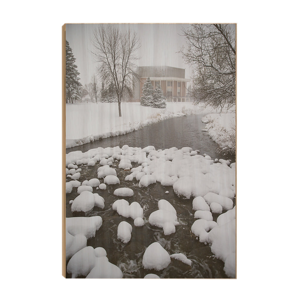 North Dakota Fighting Hawks - Snow Day - College Wall Art #Canvas