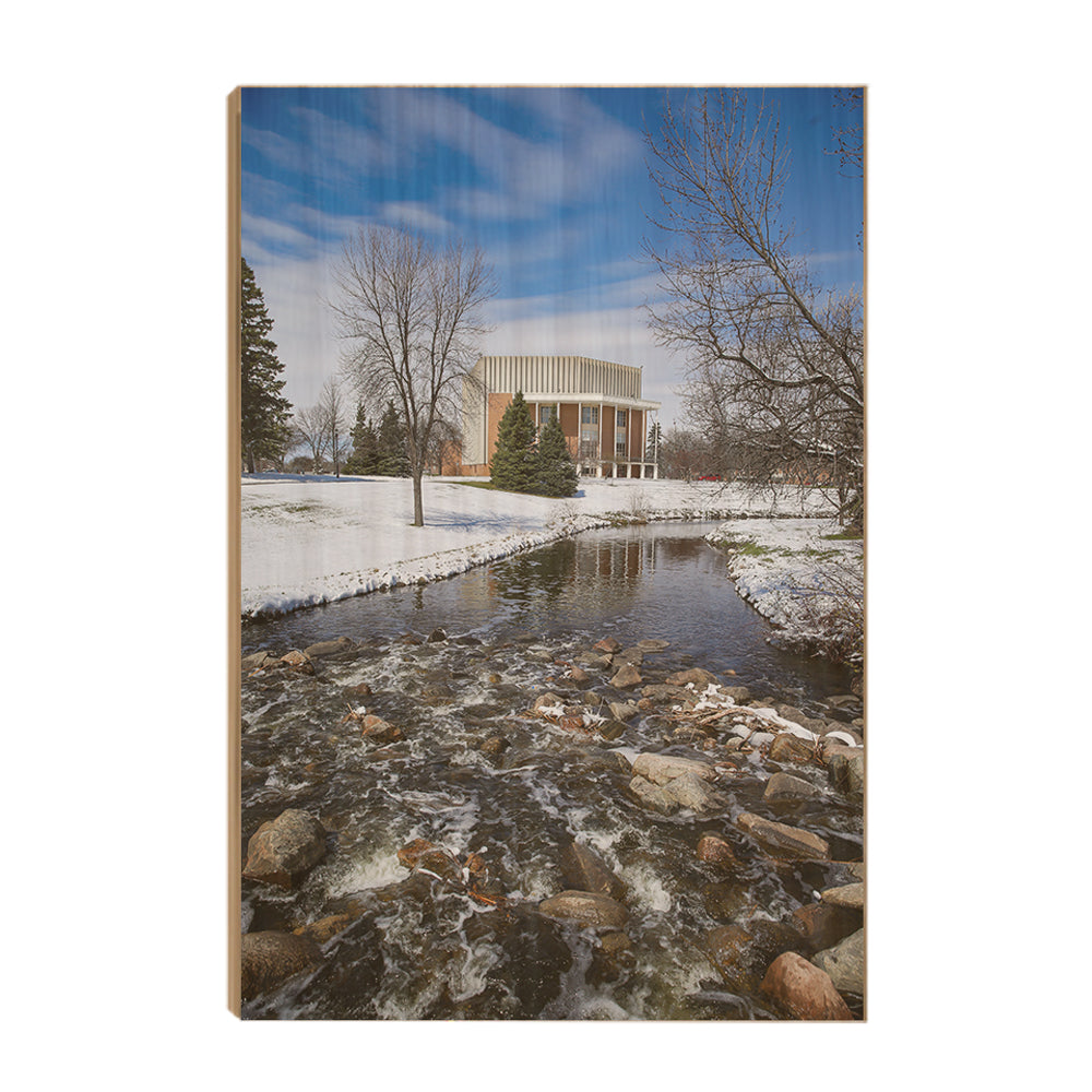 North Dakota Fighting Hawks - Snow Storm - College Wall Art #Canvas