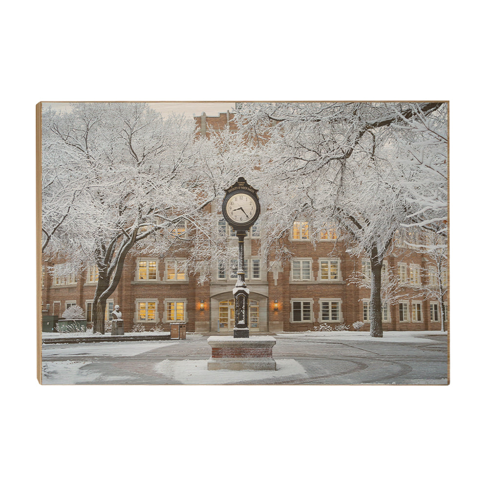 North Dakota Fighting Hawks - University of North Dakota First Snow - College Wall Art #Canvas