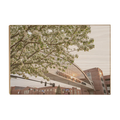 North Dakota Fighting Hawks - University of North Dakota Cherry Blossoms - College Wall Art #Wood