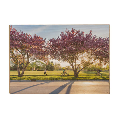 North Dakota Fighting Hawks - Blossoms - College Wall Art #Wood