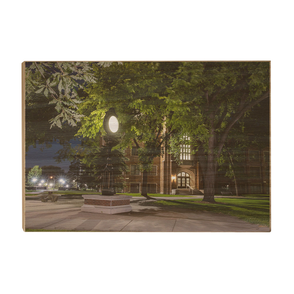 North Dakota Fighting Hawks - Night Fall - College Wall Art #Canvas