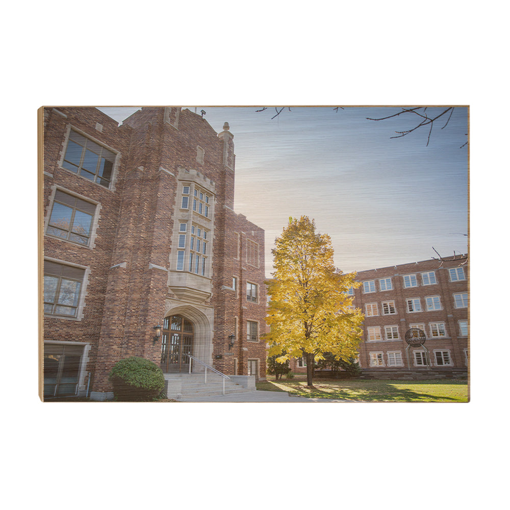 North Dakota Fighting Hawks - Walk Around - College Wall Art #Canvas