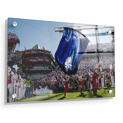 South Carolina Gamecocks - Taking the Field - College Wall Art #Acrylic