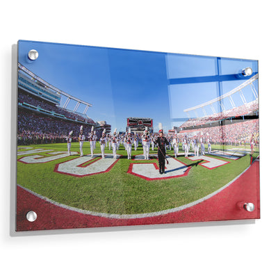 South Carolina Gamecocks - Half Time - College Wall Art #Acrylic