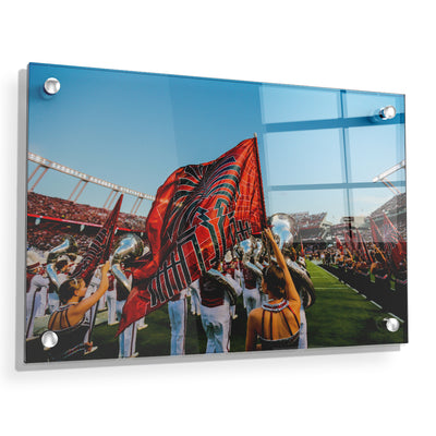 South Carolina Gamecocks - Half Time Flag - College Wall Art #Acrylic