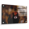 South Carolina Gamecocks - Big Spur - College Wall Art #Acrylic