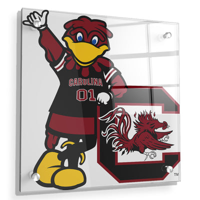 South Carolina Gamecocks - Carolina - College Wall Art #Acrylic