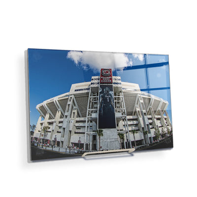 South Carolina Gamecocks - Williams Brice Stadium - College Wall Art #Acrylic Mini