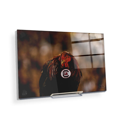 South Carolina Gamecocks - Big Spur - College Wall Art #Acrylic Mini