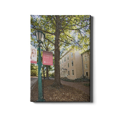 South Carolina Gamecocks - No Limits - College Wall Art #Canvas