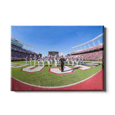 South Carolina Gamecocks - Half Time - College Wall Art #Canvas