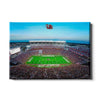 South Carolina Gamecocks - Gamecock Football - College Wall Art #Canvas